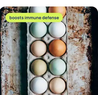 Eggs