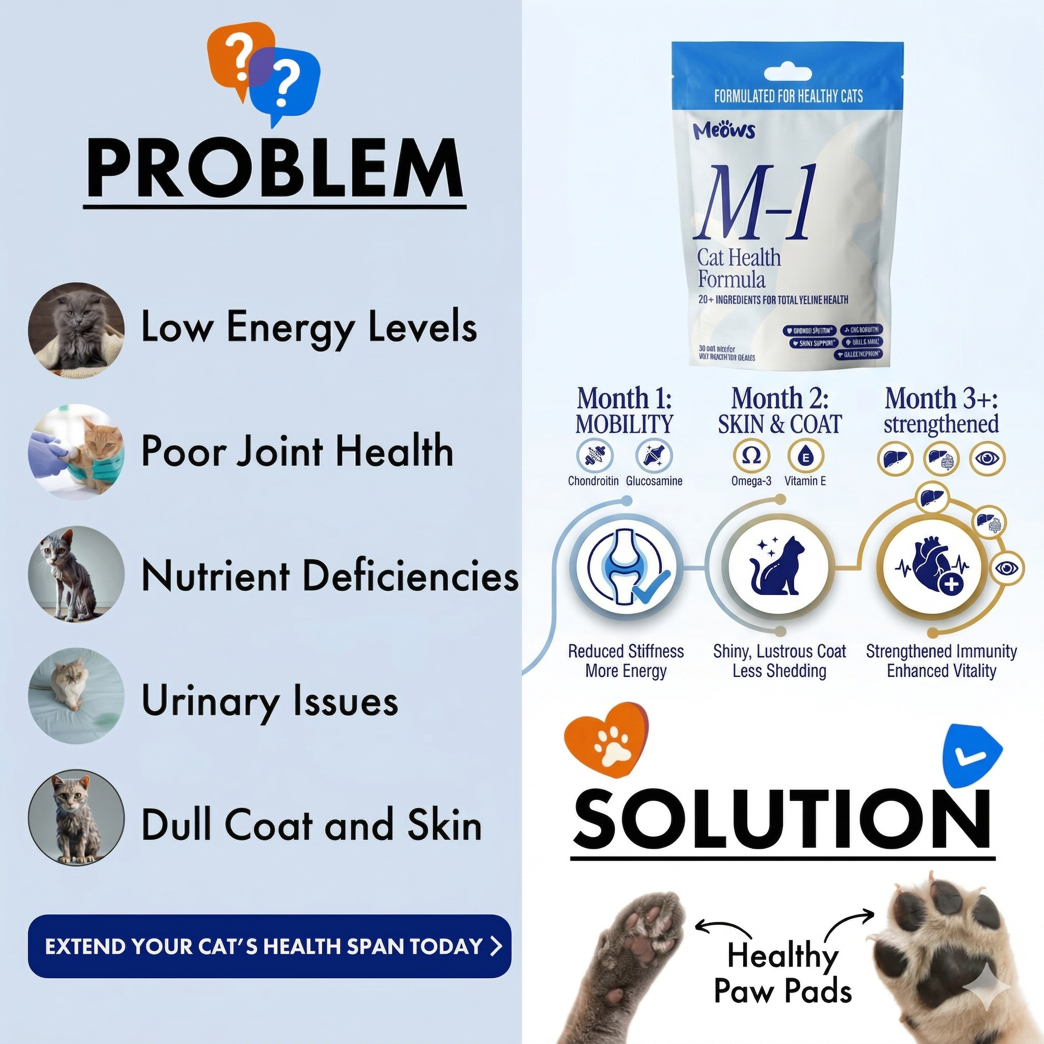 Meows - Daily Cat Health Formula