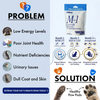 Meows - Daily Cat Health Formula