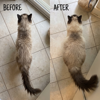 Meows Senior Cat Longevity Topper